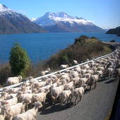 Landscapes-NZ-022.JPG