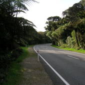 New-Zealand-2007-038.JPG