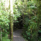 New-Zealand-2007-045.JPG