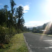 New-Zealand-2007-671.JPG