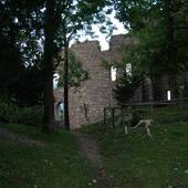 Burgruine_Karlstein_205.JPG