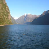 New-Zealand-2007-448.JPG