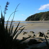 New-Zealand-2007-152.JPG