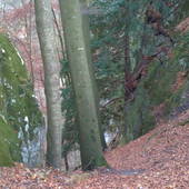 Burgruine-Karlstein-2012-010