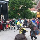 Burgfest-Stein-an-der-Traun-2013-034