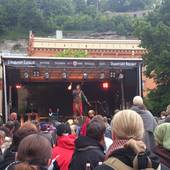 Burgfest-Stein-an-der-Traun-2013-064
